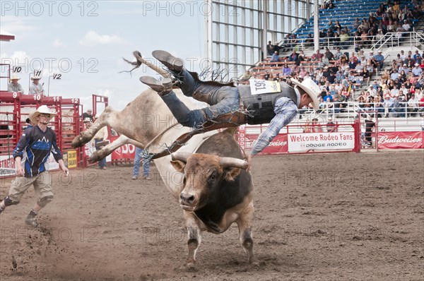 Cowboy bull riding