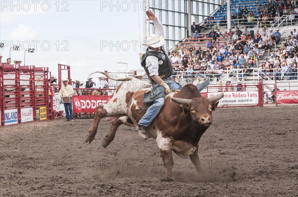 Cowboy bull riding