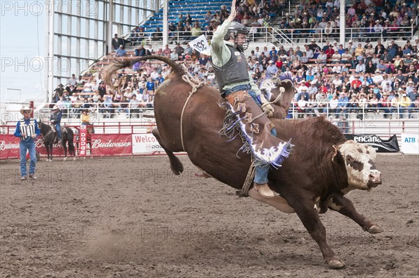 Cowboy bull riding