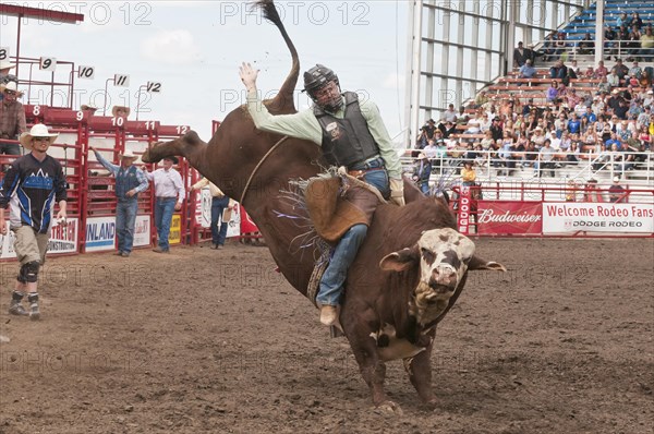 Cowboy bull riding