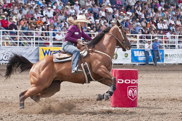 Cowgirl riding fast during barrel racing