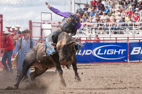 Cowboy bull riding