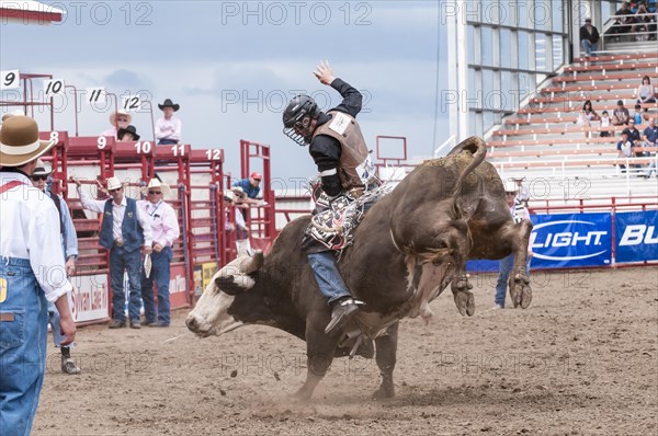 Cowboy bull riding