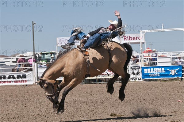 Cowboy