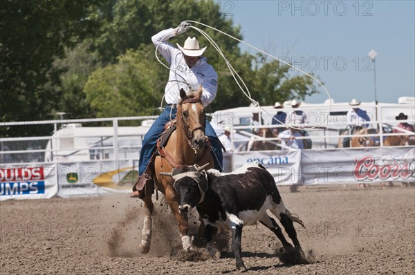 Cowboys race during the team roping event