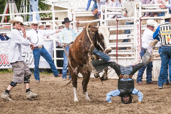 Rider being thrown during junior bull riding