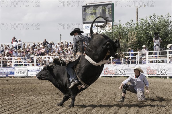 Cowboy bull riding