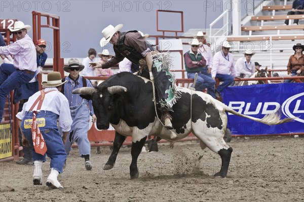 Cowboy bull riding