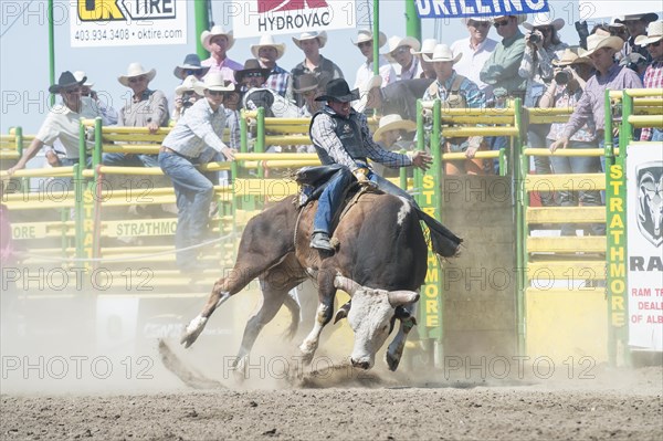 Cowboy bull riding