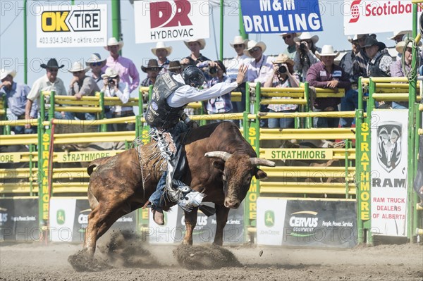 Cowboy bull riding