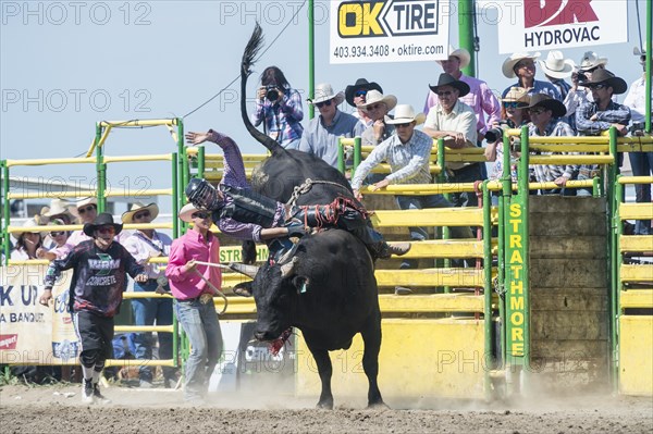 Cowboy bull riding