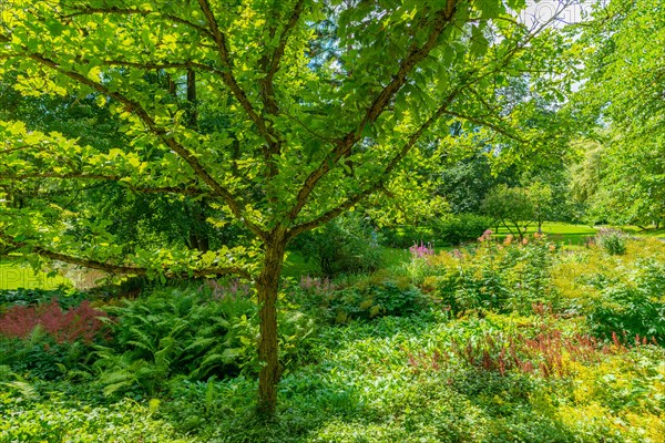 State Arboretum Exotic Garden