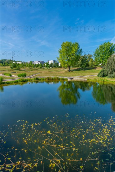 Hoehenpark Killesberg