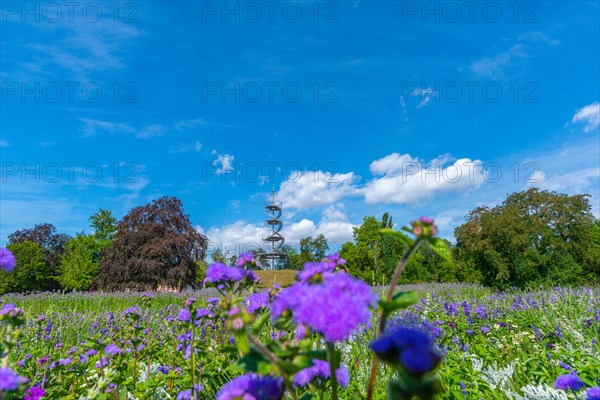 Hoehenpark Killesberg