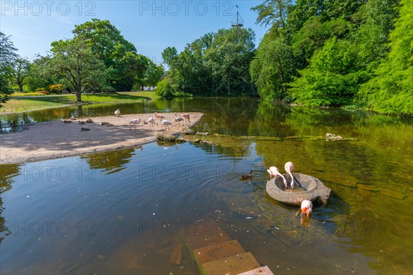 Hoehenpark Killesberg