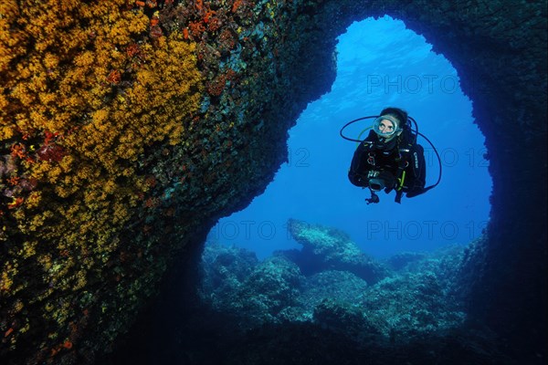 Diver Sports diver swims dives in cave Underwater cave illuminated yellow cluster anemones