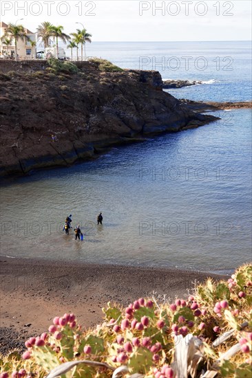 Divers Sport divers with scuba go from land into water in narrow sheltered bay