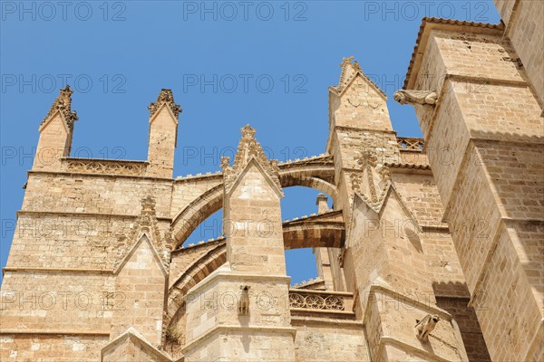 Architectural details turret cross braces for dissipation of weight pressure at gothic cathedral of St. Mary La Seu in gothic architectural style gothic architecture
