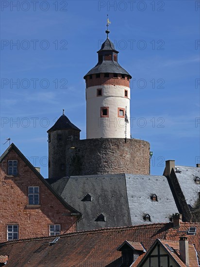 Buedingen Castle