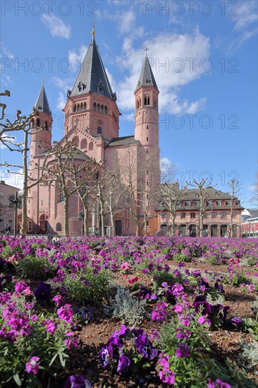 Romanesque High Cathedral St. Martin