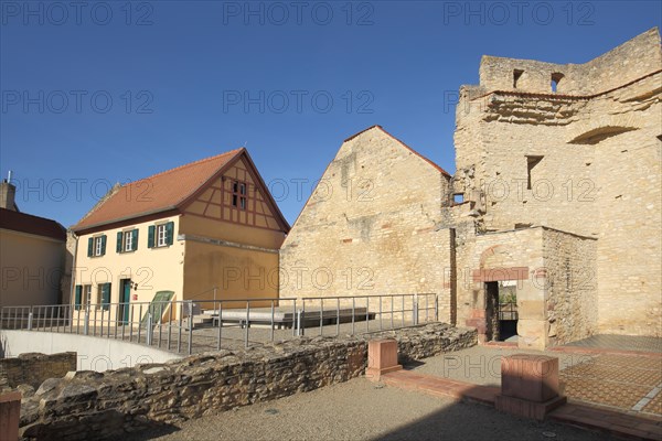 Imperial Palace with Heidesheim Gate