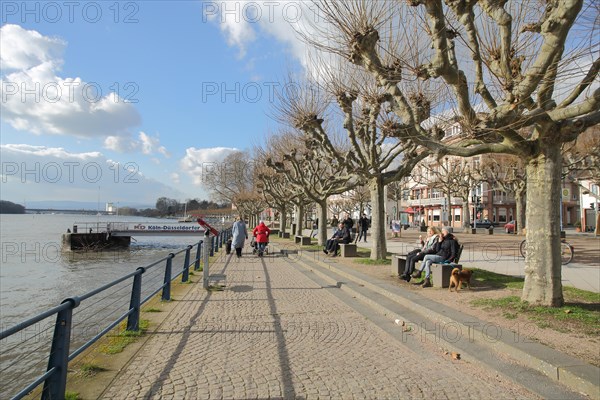 Strollers on the promenade along the Rhine