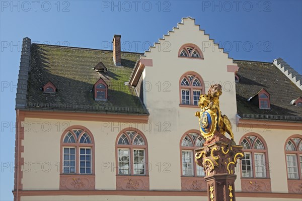 Market Fountain with Lion Figure City Coat of Arms and Old Town Hall