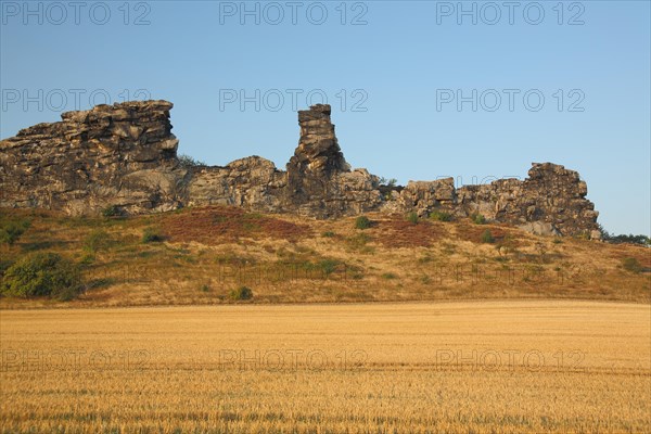 View of Teufelsmauer with Adlerfelsen and Koenigstein and stubble field