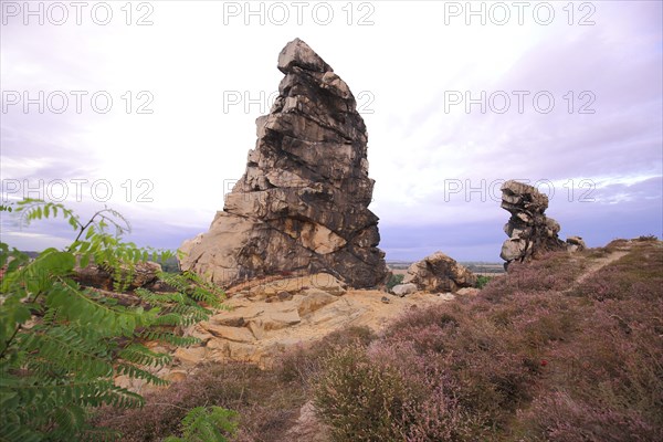 Eagle Rock and Heather