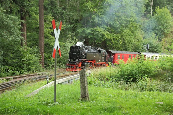 Harz narrow gauge railway with steam locomotive with St. Andrew's cross