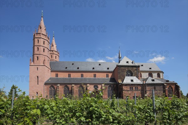 Gothic Church of Our Lady with Vines