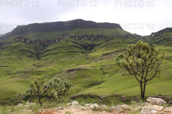 Thaba Bosiu Plateau