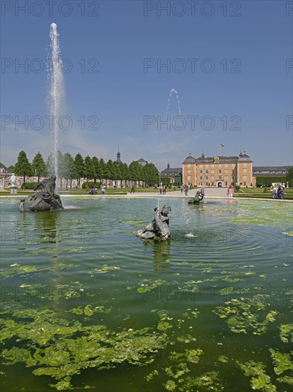 Palace garden