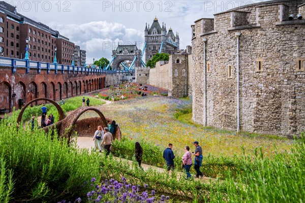 Embankments at the Tower with Tower Bridge