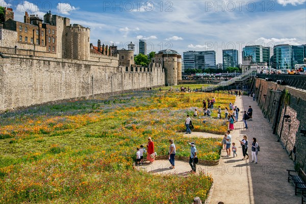 Flowerbeds in the ramparts at the Tower of London