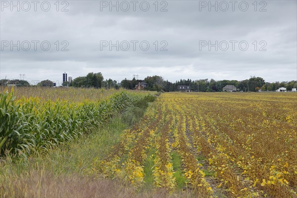 Agriculture