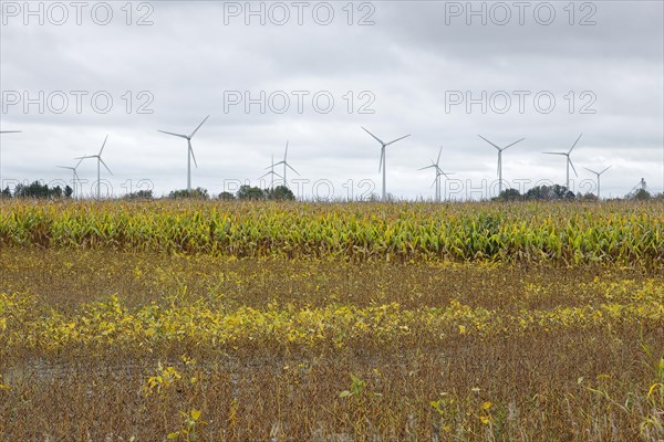 Agriculture