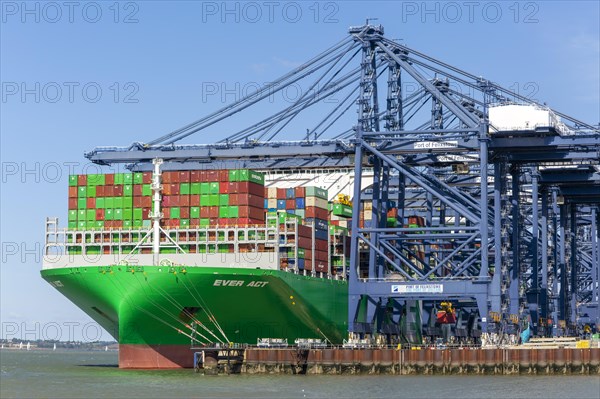 Evergreen Ever Act container ship and cranes on quayside