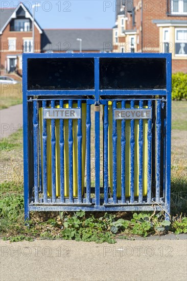 Combined litter and recycling waste bin