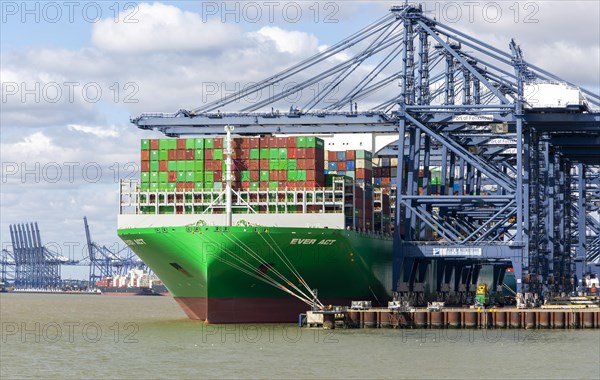 Evergreen Ever Act container ship gantry cranes on quayside