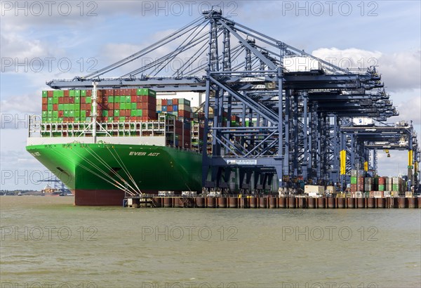 Evergreen Ever Act container ship gantry cranes on quayside