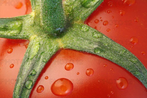 Detail of a ripe tomato