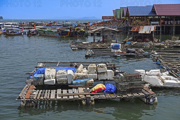 Caging facilities for live fish in the Muslim stilt village of Koh Panyi