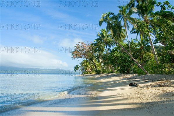 Qamea beach in Fiji