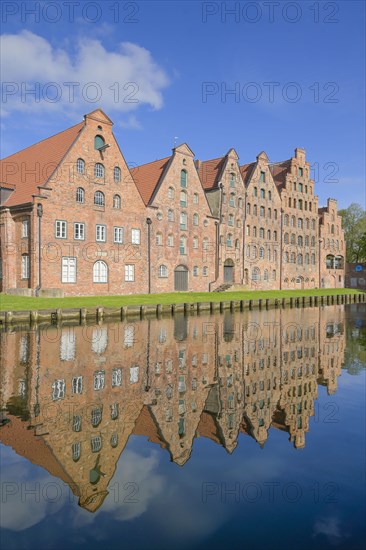 Salt store houses