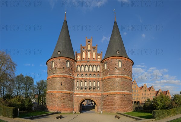 Holstentor