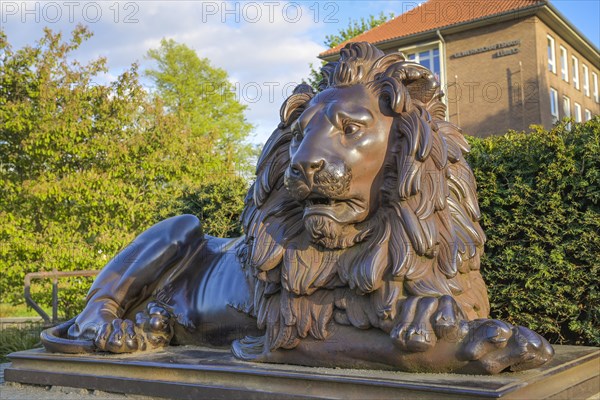 Luebeck Lion