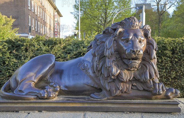 Luebeck Lion