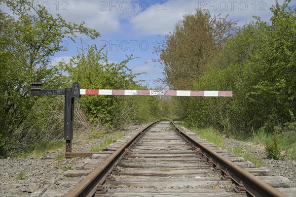 Disused railway line near Ratzeburg