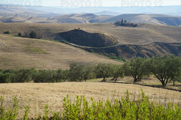 Landscape around Irsina